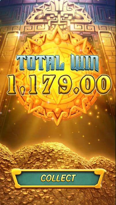 556bet